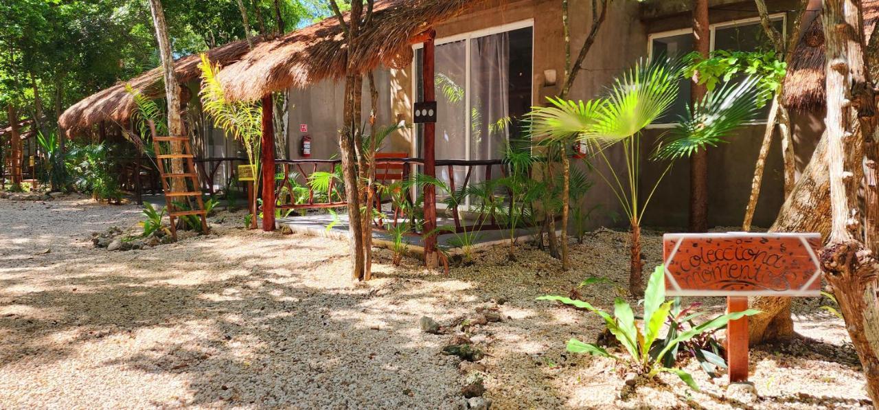 Hotel Kin Tulum Jungle Deluxe Luaran gambar