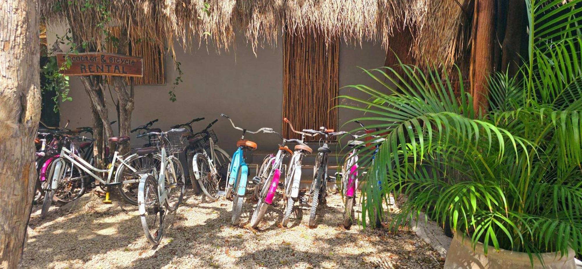 Hotel Kin Tulum Jungle Deluxe Luaran gambar