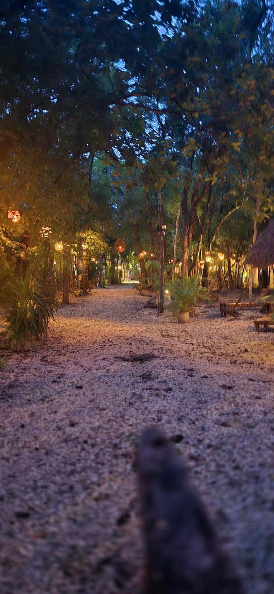Hotel Kin Tulum Jungle Deluxe Luaran gambar